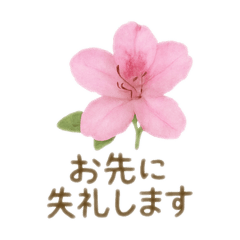 [LINEスタンプ] お花で ひとこと
