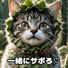 [LINEスタンプ] やさしい猫スタンプ