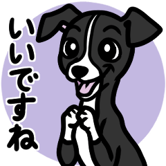 [LINEスタンプ] 【ブラック】1年中使える♡パピーイタグレ