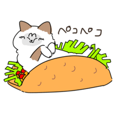 [LINEスタンプ] おきなわ楽しかったまろちゃん
