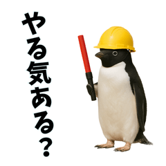 [LINEスタンプ] おもしろ動物の笑える一言リアルスタンプ