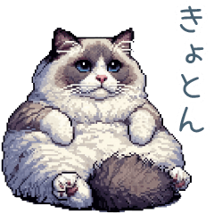 [LINEスタンプ] リアクションラグドール【連絡・日常会話】