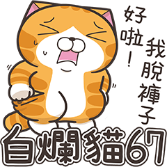 [LINEスタンプ] ランラン猫 67 (台湾版)