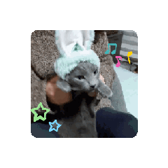 [LINEスタンプ] 動く！アロンのスタンプ