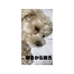 [LINEスタンプ] kuktwm"g