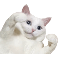 [LINEスタンプ] ユキボクサー
