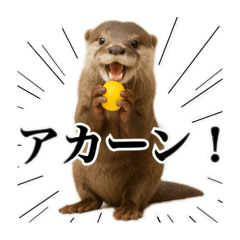 [LINEスタンプ] ゆる関西弁あにまるず
