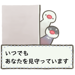 [LINEスタンプ] 文鳥もどきがいっぱい 【メッセージ】