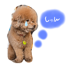[LINEスタンプ] ぎんどん挨拶
