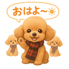 [LINEスタンプ] ふわもこトイプー＊毎日使える8表情