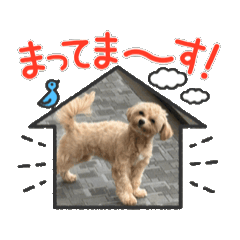 [LINEスタンプ] こまちとろこ。