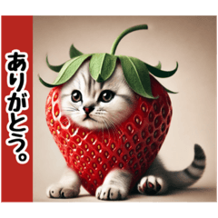 [LINEスタンプ] ひょっこり❤︎にゃん…………
