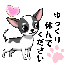 [LINEスタンプ] 可愛すぎる❗【チワワ】日常会話とあいさつ
