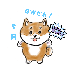[LINEスタンプ] 5月は鎧、兜、鯉のぼりのチビ豆柴シリーズ