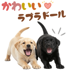 [LINEスタンプ] ラブラドール♡ゆるい日常スタンプ