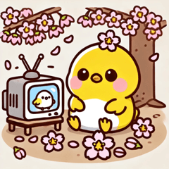[LINEスタンプ] ヒヨコと桜のスタンプ@SFW