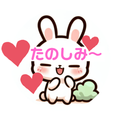 [LINEスタンプ] うさぎといっしょに気持ちを伝えよう