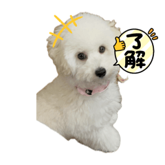 [LINEスタンプ] ろい＆まる