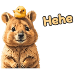 [LINEスタンプ] 愛らしいクオッカ5 （英語）