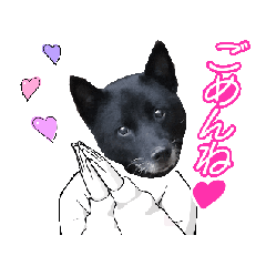 [LINEスタンプ] みかんの動く挨拶