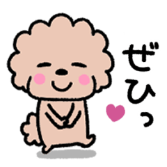 [LINEスタンプ] トイプードル♡お返事スタンプ