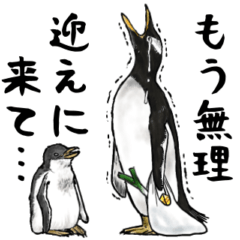 [LINEスタンプ] 意外と使えるお疲れ家族ペンギン