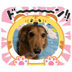 [LINEスタンプ] そら、ツユ子