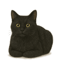 [LINEスタンプ] にゃんこは語らず