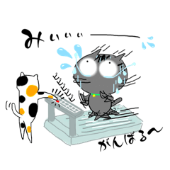[LINEスタンプ] アメショぽんずの日常会話