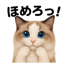 [LINEスタンプ] 猫Cafe RagDoll！13周年記念スタンプ！