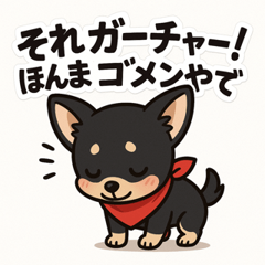 [LINEスタンプ] 元気な黒チワワのひとことスタンプ