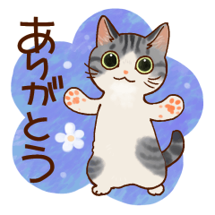 [LINEスタンプ] 猫と花の穏やかスタンプ
