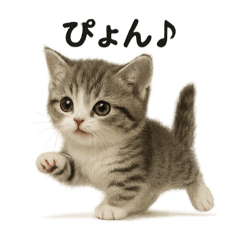 [LINEスタンプ] 子猫マンチカンの赤ちゃん言葉集