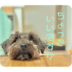 [LINEスタンプ] ろいろのいろいろ3