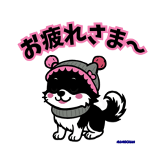 [LINEスタンプ] チワワのももちゃんの一言