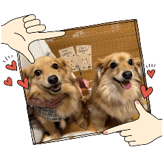 [LINEスタンプ] チロル＆チョコ14