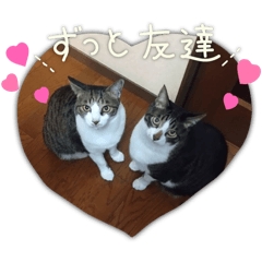 [LINEスタンプ] そうすぅ