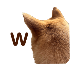[LINEスタンプ] SHIBA INU ちゃん 3
