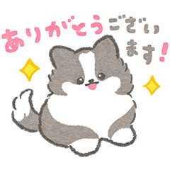 [LINEスタンプ] 礼儀正しいボーダーコリー