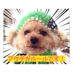 [LINEスタンプ] ひなとにゃにゃとウニとキョナン