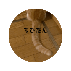 [LINEスタンプ] ちびたん_たかおなみ