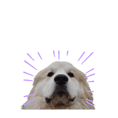 [LINEスタンプ] ラム参