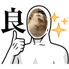 [LINEスタンプ] マッチョだったんです。うさぎのフッくん