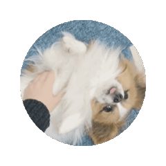 [LINEスタンプ] KANTA★*