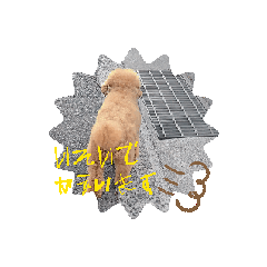 [LINEスタンプ] ぎんどんムービー