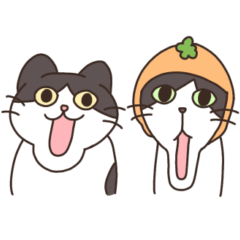 [LINEスタンプ] みかんねことふつうのねこスタンプ