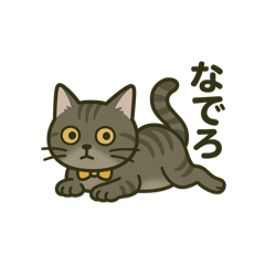 [LINEスタンプ] ウチの気まぐれ猫様