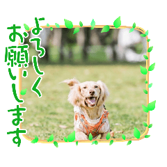 [LINEスタンプ] うらきらゆら