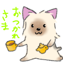 [LINEスタンプ] ヨーキーの使いやすいスタンプ★