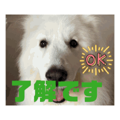 [LINEスタンプ] さくらとお友達たち